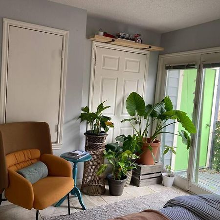 Luxury Greenhouse Studio Apartman Austin Kültér fotó